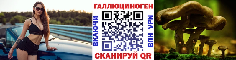 где можно купить   Усть-Илимск  Псилоцибиновые грибы мухоморы 